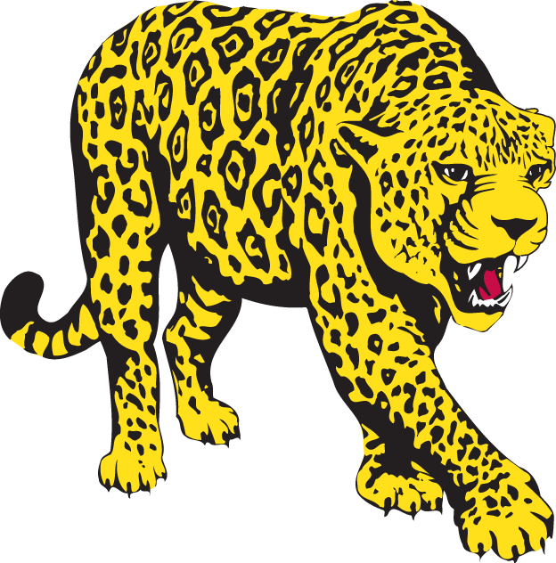 South Alabama Jaguars 1993-2007 Partial Logo v3 diy fabric transfers